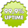 99.9% Server Uptime for Website Guaranteed